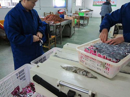 廠區掠影 (3)